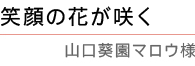 「笑顔の花が咲く」 山口葵園マロウ様