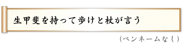 生甲斐を持って歩けと杖が言う