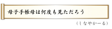 母子手帳母は何度も見ただろう