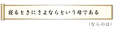背を流すつもりで磨く父の墓