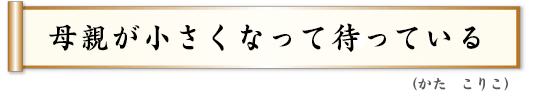 母親が小さくなって待っている こりこ