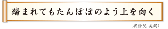 踏まれてもたんぽぽのよう上を向く　我修院 美鶴