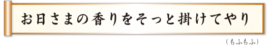 お日さまの香りをそっと掛けてやり  もふもふ