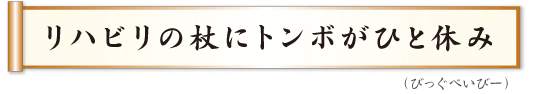 リハビリの杖にトンボがひと休み びっぐべいびー