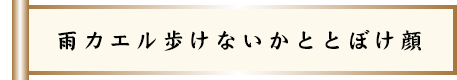 雨カエル歩けないかととぼけ顔