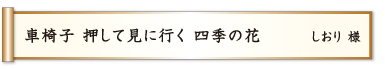 車椅子 押して見に行く 四季の花