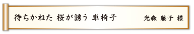 待ちかねた 桜が誘う 車椅子