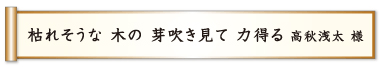 枯れそうな 木の 芽吹き見て 力得る