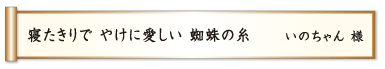 寝たきりで やけに愛しい 蜘蛛の糸