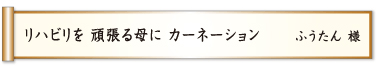 リハビリを 頑張る母に カーネーション