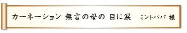 カーネーション 無言の母の 目に涙