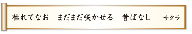 枯れてなお まだまだ咲かせる 昔ばなし