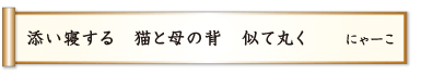 添い寝する 猫と母の背 似て丸く