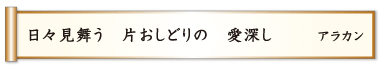 日々見舞う 片おしどりの 愛深し