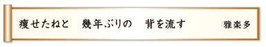 痩せたねと 数年ぶりの 背を流す