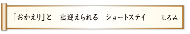 「おかえり」と 出迎えられる ショートステイ