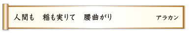 人間も 稲も実りて 腰曲がり