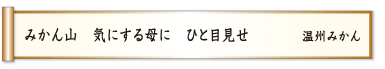 みかん山 気にする母に ひと目見せ