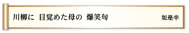 川柳に 目覚めた母の 爆笑句