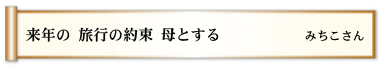 来年の 旅行の約束 母とする