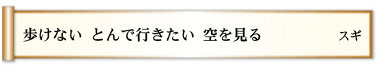 歩けない とんで行きたい 空を見る