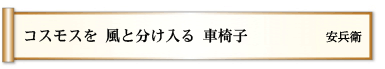 コスモスを 風と分け入る 車椅子