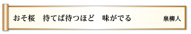 おそ桜 待てば待つほど 味がでる