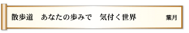 散歩道 あなたの歩みで 気付く世界