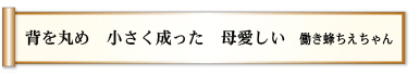 背を丸め 小さく成った 母愛しい