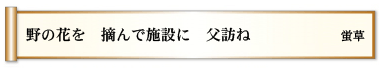 野の花を 摘んで施設に 父訪ね