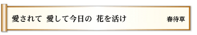 愛されて 愛して今日の 花を活け