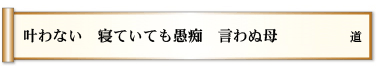 叶わない 寝ていても愚痴 言わぬ母