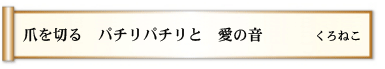 爪を切る  パチリパチリと 愛の音