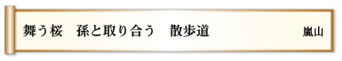 舞う桜 孫と取り合う 散歩道