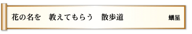 花の名を 教えてもらう 散歩道