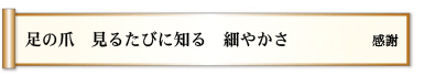 足の爪 見るたびに知る 細やかさ