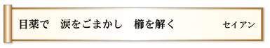 目薬で 涙をごまかし 櫛を解く