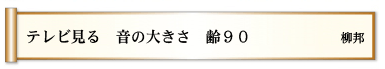 テレビ見る 音の大きさ 齢９０