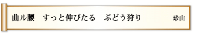 曲ル腰 すっと伸びたる ぶどう狩り