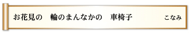 お花見の　輪のまんなかの　車椅子