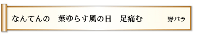 なんてんの 葉ゆらす風の日 足痛む