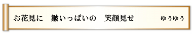 お花見に 皺いっぱいの 笑顔見せ