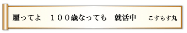 雇ってよ １００歳なっても 就活中