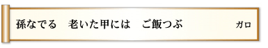 孫なでる 老いた甲には ご飯つぶ