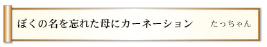 ぼくの名を忘れた母にカーネーション