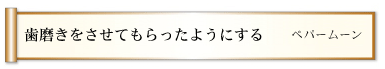 歯磨きをさせてもらったようにする