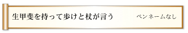 生甲斐を持って歩けと杖が言う