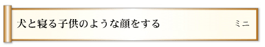 犬と寝る子供のような顔をする