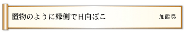 置物のように縁側で日向ぼこ