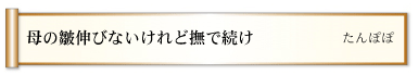 母の皺伸びないけれど撫で続け